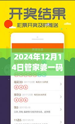 2024年12月14日管家婆一码一肖100准：一码一肖的现代诠释