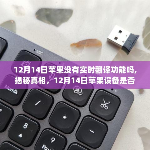 揭秘，12月14日苹果设备是否具备实时翻译功能？真相大揭秘！