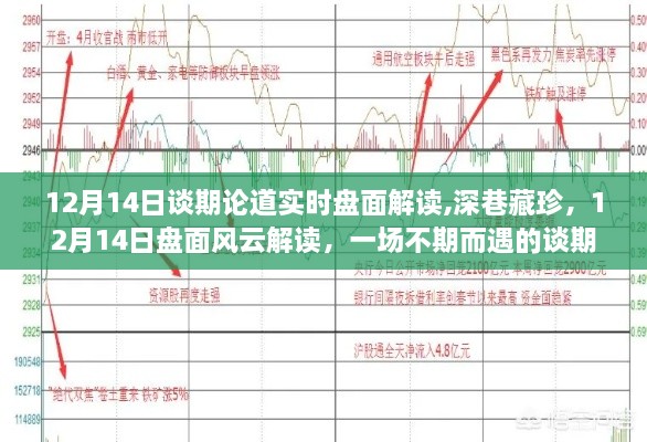 12月14日盘面风云解读，谈期论道盛宴开启，深巷藏珍揭秘实时动态