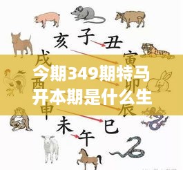 今期349期特马开本期是什么生肖：特马开与生肖相生相克的学问