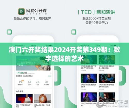 澳门六开奖结果2024开奖第349期：数字选择的艺术