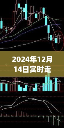 全面解读2024年12月14日实时走势K线图，特性、体验、竞品对比及用户群体深度分析