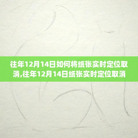 往年12月14日纸张实时定位功能取消详解，特性、体验、竞品对比及用户分析指南