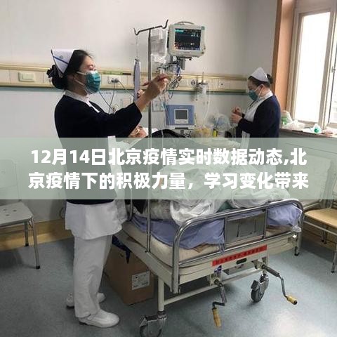 北京疫情下的积极力量，学习变化带来的自信与成就感（实时数据动态）