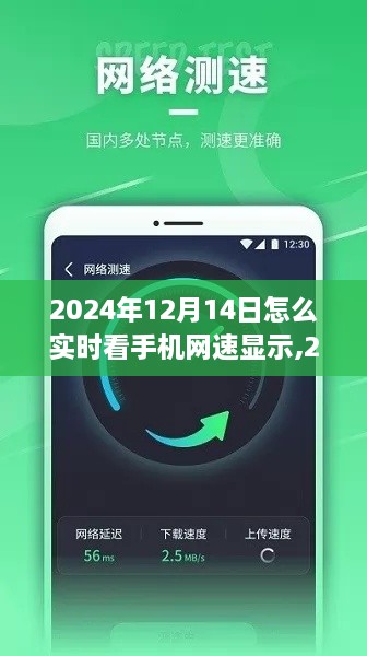 技术革新下的速度与便捷，2024年手机网速实时查看指南