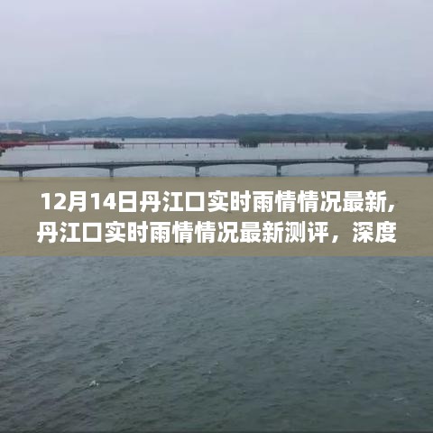 丹江口实时雨情最新测评与深度解析，产品特性与使用体验一览（12月14日更新）