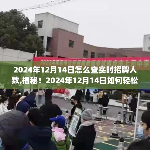 2024年12月15日 第18页