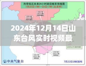 聚焦山东台风实况，实时视频解读山东台风最新动态（2024年12月14日版）