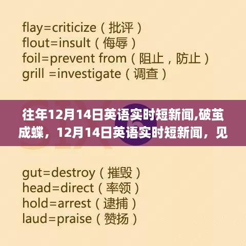 见证学习魔法，破茧成蝶的自信与成就——历年十二月十四日英语实时短新闻回顾