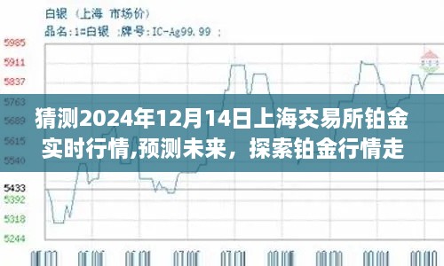 探索铂金行情走向，预测上海交易所铂金实时行情（以2024年12月14日为例）