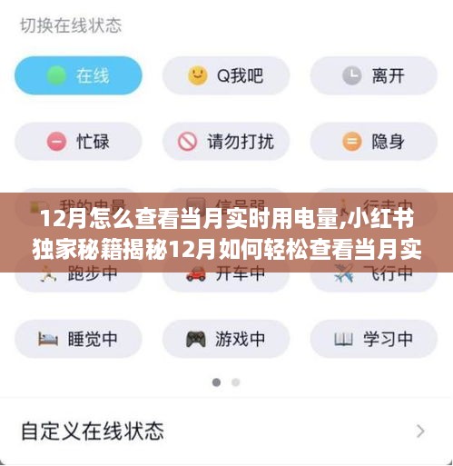 揭秘，如何在小红书上轻松查看12月实时用电量秘籍，电费账单不再成谜！