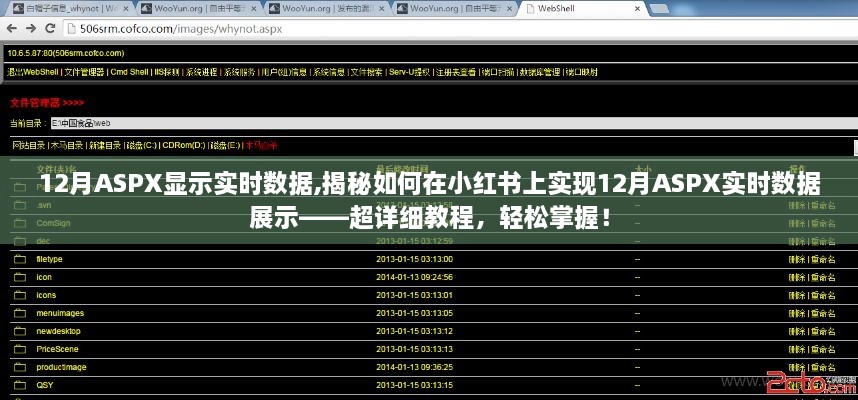 揭秘小红书上实现ASPX实时数据展示的超详细教程，轻松掌握，助力高效运营！