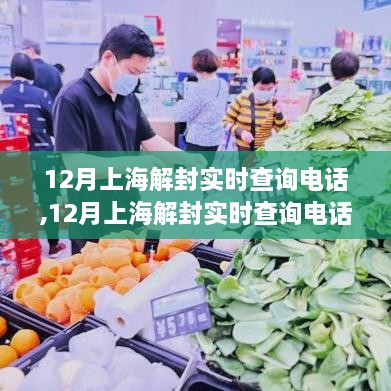 12月上海解封实时查询电话，最新动态与查询指南