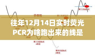 揭秘，为何往年12月14日实时荧光PCR结果呈现波浪线形？