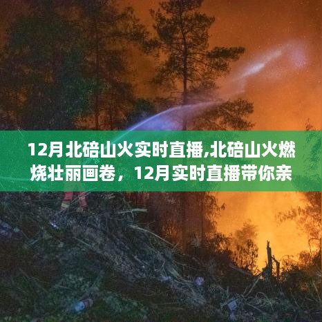 12月北碚山火实时直播，壮丽画卷尽收眼底，亲历现场感受火热激情