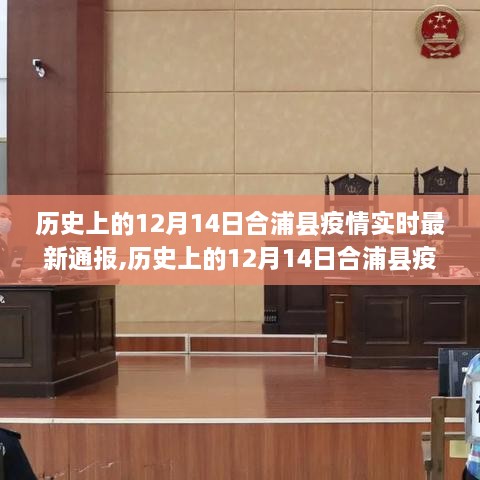 历史上的12月14日合浦县疫情最新实时通报及解读指南