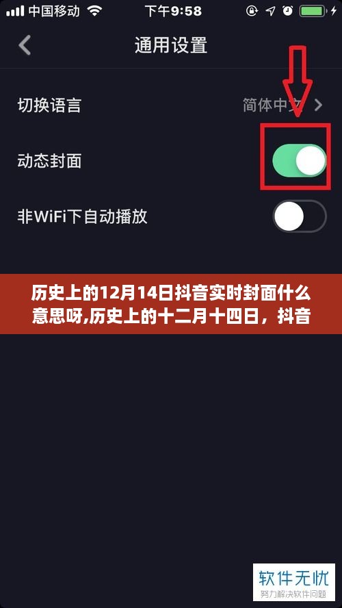 历史上的12月14日抖音实时封面背后的故事与意义探究