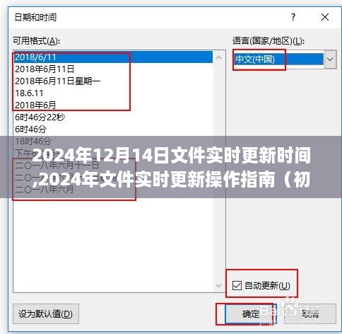 2024年文件实时更新操作指南，从初学者到进阶用户的实用指南（2024年12月14日最新更新）