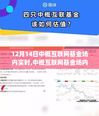 中概互联网基金场内实时动态，机遇与挑战的深度解读与观点阐述