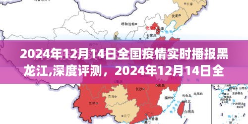 2024年12月14日全国疫情实时播报黑龙江，深度分析与评估