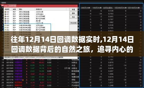 追寻内心宁静与平和，揭秘往年12月14日回调数据背后的自然之旅