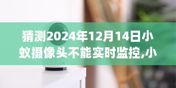 关于小蚁摄像头在2024年12月14日实时监控的猜测与观点论述