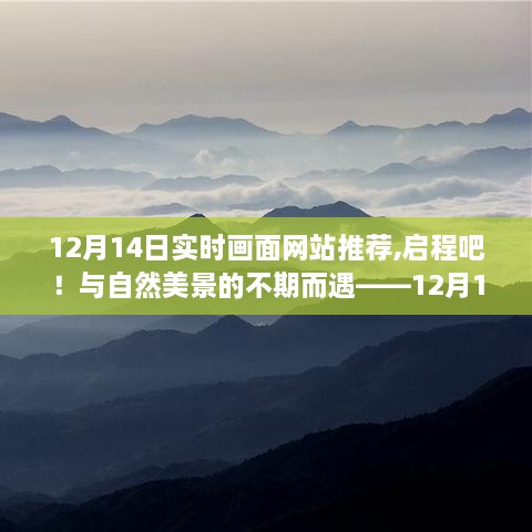 启程与自然美景的不期而遇，12月14日实时画面网站推荐