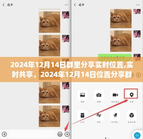 2024年实时位置分享群的新纪元，实时共享定位体验