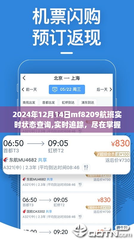全面评测，掌握MF8209航班实时状态查询系统，实时追踪航班动态（2024年12月14日）