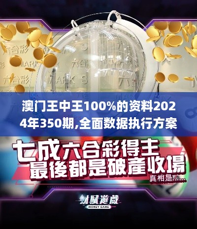 澳门王中王100%的资料2024年350期,全面数据执行方案_X版6.207