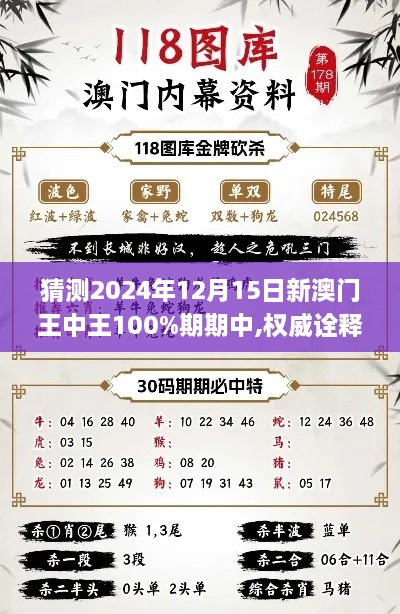 2024年12月15日 第7页