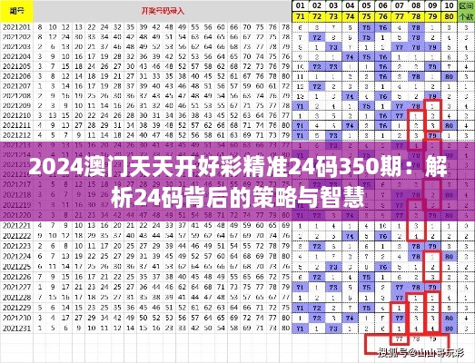 2024澳门天天开好彩精准24码350期：解析24码背后的策略与智慧