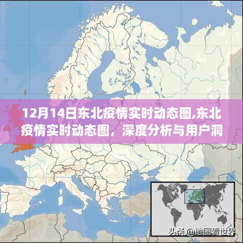 东北疫情实时动态图深度分析与用户洞察（截至12月14日）