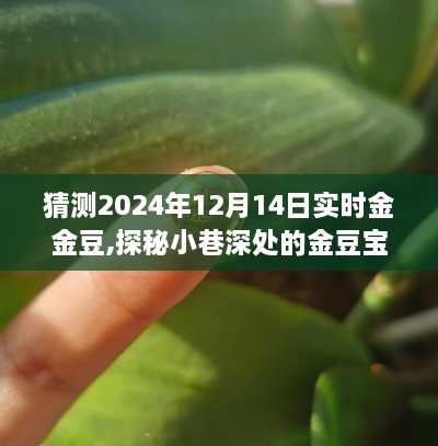 探秘小巷深处的金豆宝藏店，未来黄金猜想之旅的启示（2024年12月14日实时金豆预测）