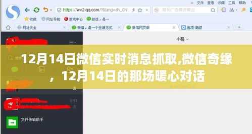 微信奇缘，暖心对话记录于特殊的日子——12月14日的暖心对话回顾