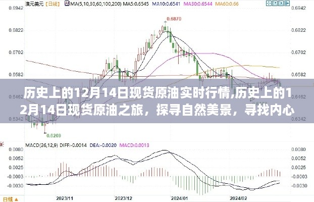 探寻自然美景与内心平静，历史上的现货原油行情之旅——12月14日的回顾与体验