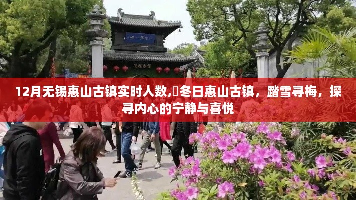 冬日惠山古镇踏雪寻梅，实时人数与内心宁静喜悦的探寻