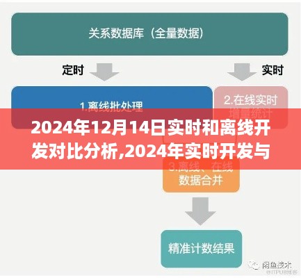 2024年实时与离线开发对比分析，洞悉未来技术趋势