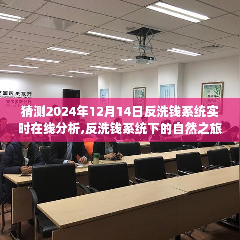 反洗钱系统下的心灵探险，未来反洗钱系统实时在线分析与自然之旅展望（2024年）