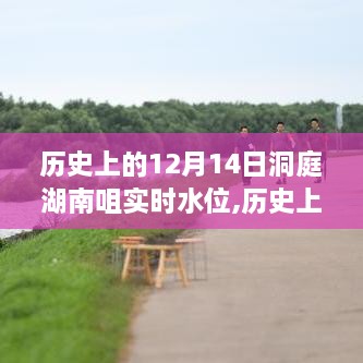 历史上的12月14日洞庭湖南咀实时水位，水位变迁及其影响深度探析