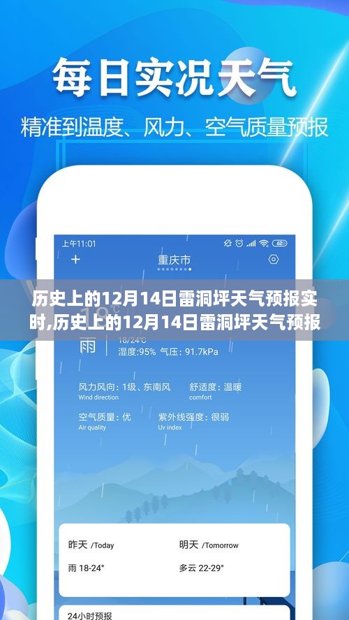 多维度视角解读，历史上的12月14日雷洞坪天气预报实时分析