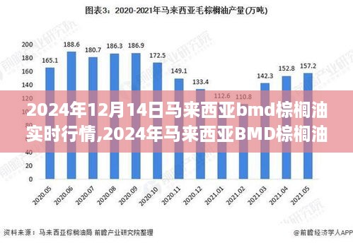 2024年马来西亚BMD棕榈油行情深度解析，市场脉络风云变幻