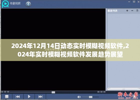 2024年实时模糊视频软件发展趋势展望，动态实时模糊软件预测