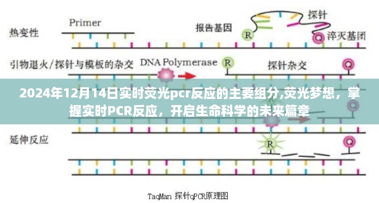 实时PCR反应组分揭秘，荧光梦想引领生命科学未来篇章的开启