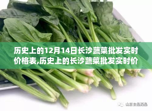 历史上的长沙蔬菜批发实时价格表，以十二月十四日为例的详细记录