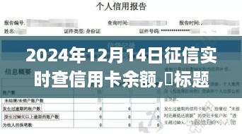 探秘征信秘境，信用卡余额实时查询之旅（2024年12月14日）