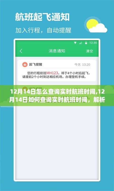 解析与观点探讨，如何查询12月14日实时航班时间