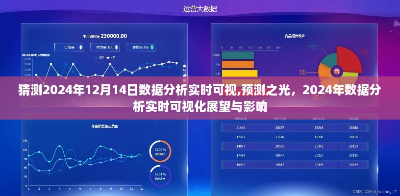 数据分析展望，预测之光下的实时可视化展望与影响（2024年）