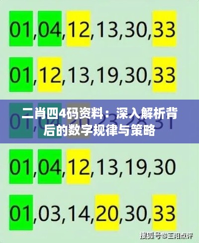 二肖四4码资料：深入解析背后的数字规律与策略