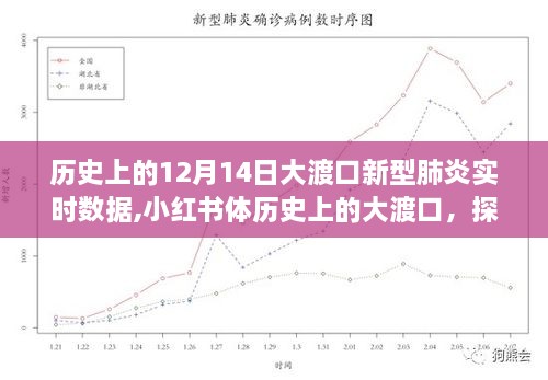 历史上的大渡口新型肺炎实时数据探寻，探寻十二月十四日数据足迹在小红书